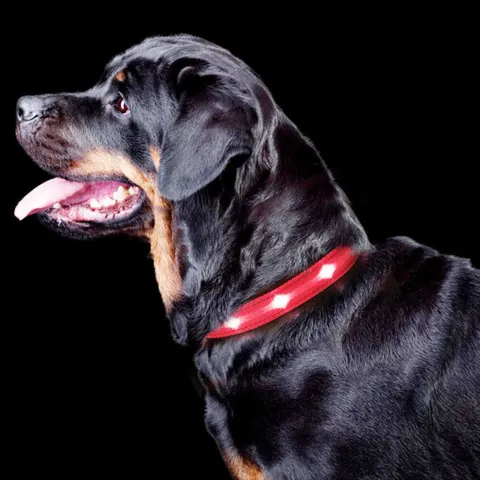 The Dots Collar | Halsbånd med 5-7 kraftige LEDs | Rød
