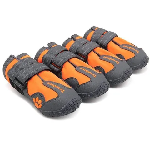 Hundesko |Truelove | Orange