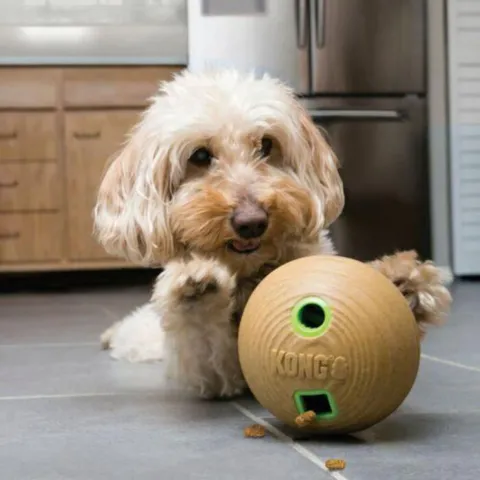 KONG Bamboo feeder ball