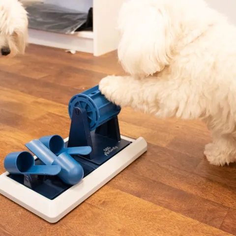 Trixie Dog Activity Poker Box Vario 2 - gammel farve