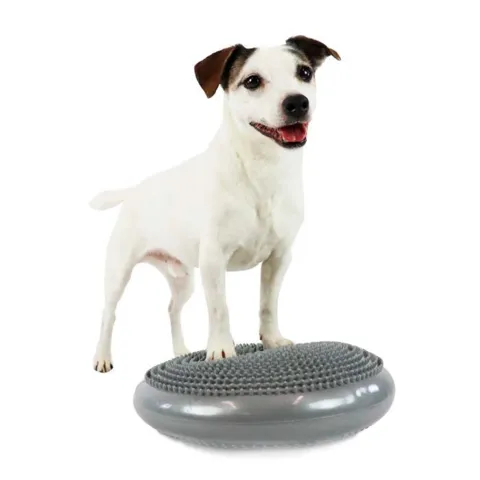 Balancepude til hundefitness
