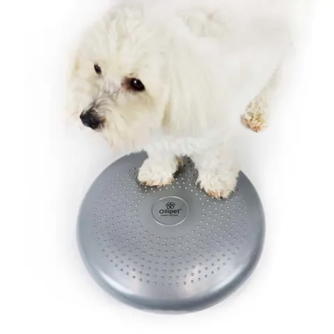 Balancepude til hundefitness
