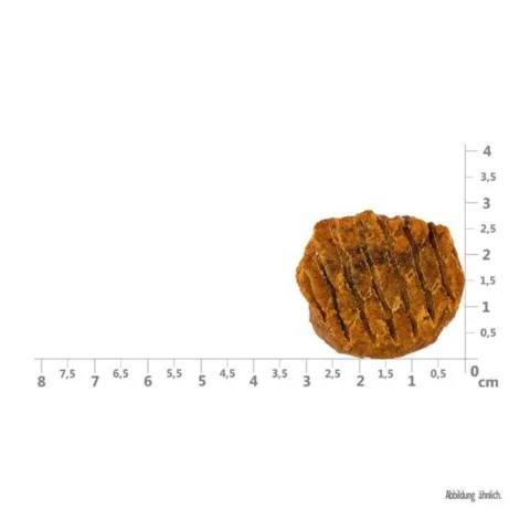 Lækre træningsgodbidder til hvalpe. Brit Meaty Jerky Puppy Meaty Coins Turkey kombinerer smagfuld kalkun og græskar i små bidder