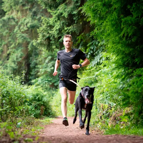Non-Stop Dogwear CaniX Belt I perfekt til løb