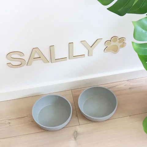 Træ bogstaver I Sally og en pote