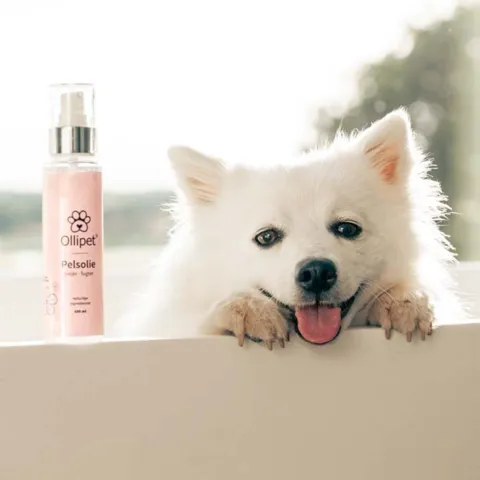 Ollipet Pelsolie | 100ml I Suri elsker sin pelsolie