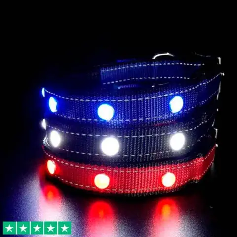 SOLID LED-halsbånd