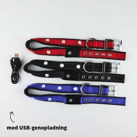 SOLID LED-halsbånd med genopladelig USB