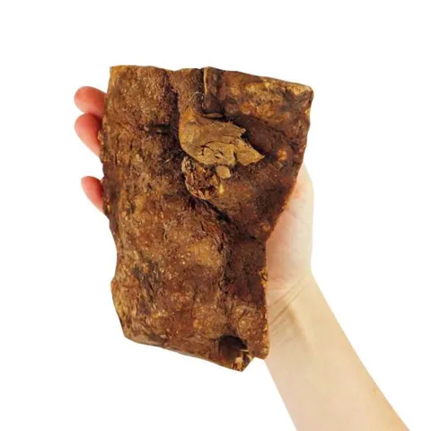 NATURBEN | Tyggerod I Large