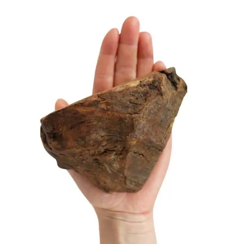 NATURBEN | Tyggerod I Medium