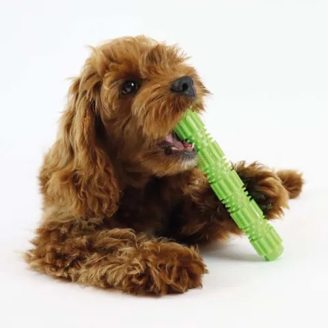 Toothbrush tube | Pelle ses med 18 cm I Tandrensende effekt