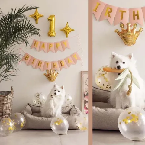 Ollipet Happy Birthday Party diagender I Lyserød