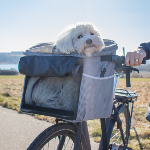 Ollipet  Cykelkurv | 3 in 1