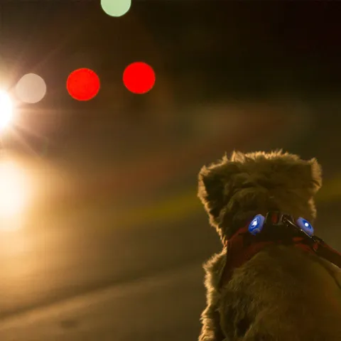 Curli Luumie LED safety lights | 2 stk