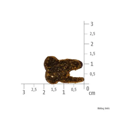 Lækre Brit Functional Snack Dental Venison & Rosemary hundegodbidder – semi moist snacks med vildt og rosmarin til voksne hunde