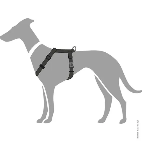 London Vario Rapid Hundesele