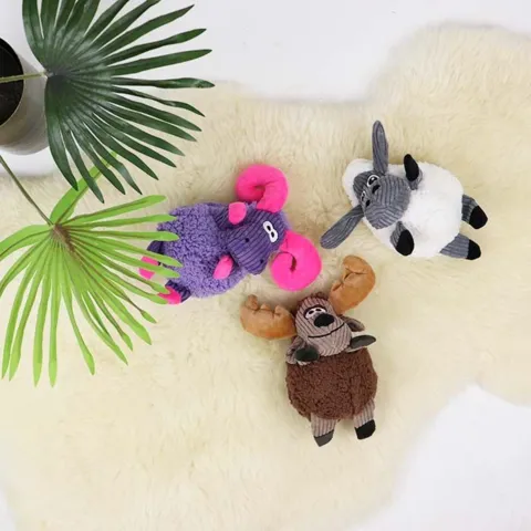 KONG Sherps Floofs I ses her med resten af "Kong Sherps familien"