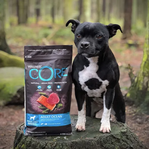 CORE Adult Ocean | Medium/Large Breed