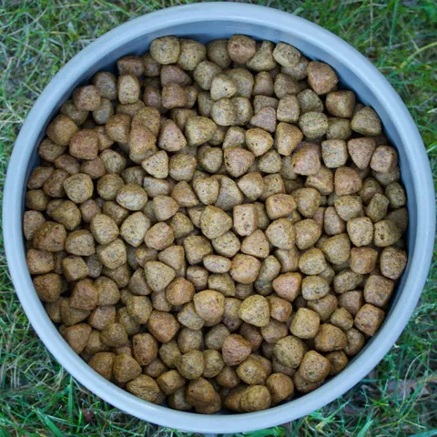 CORE Adult Ocean | Medium/Large Breed