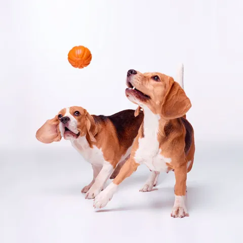 Liker Orange Ball | 7 cm