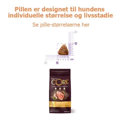 CORE Senior Original