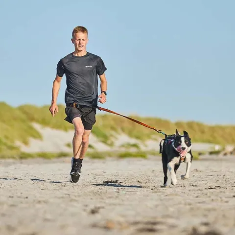 Non-Stop Dogwear Bungee Leash 2.0