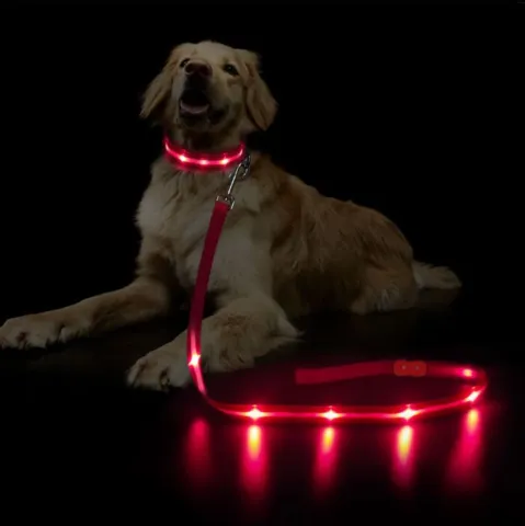 LED hundesnor der også tåler vand så den kan være med på gåturen selv når det regner. Halsbånd er ikke inkluderet.