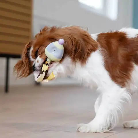 Ollipet Natur Latex Æg med reb