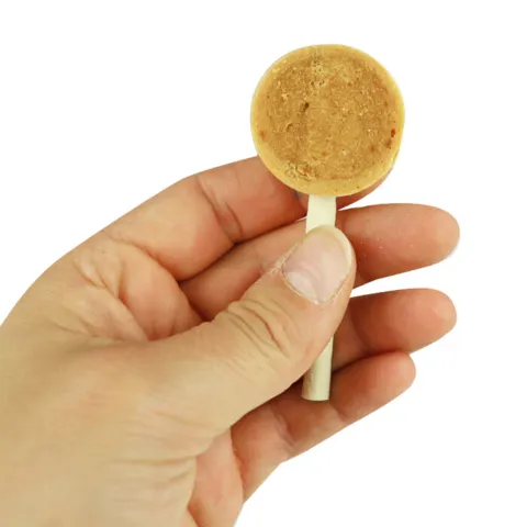 Companion Chicken Lollipop