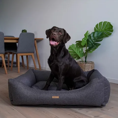 Eco Pet Hundeseng & Karla |Str. 100x80x24cm