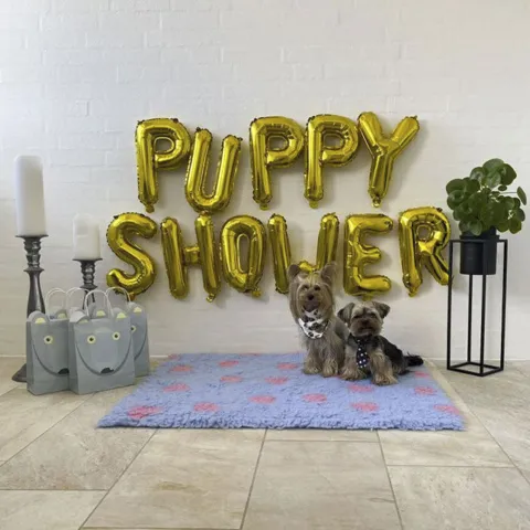 Puppy Shower Ballon