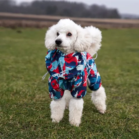 Ollipet Ponjo Raincoat | Koda bruger str. 34 cm