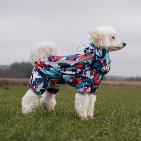 Ollipet Ponjo Raincoat | Koda bruger str. 34 cm