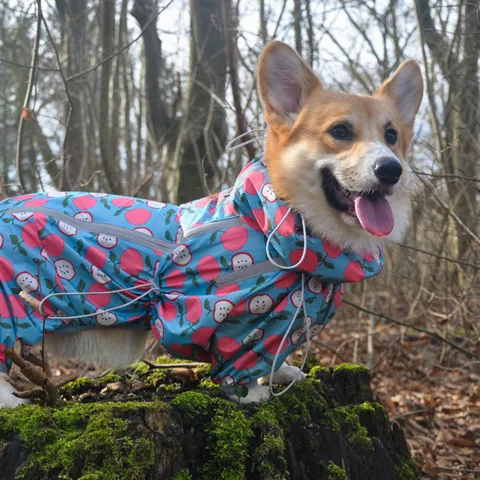 Ollipet Ponjo Raincoat | Max bruger str. 45 cm