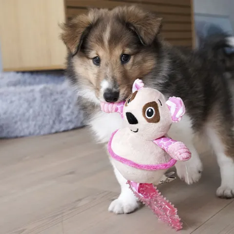 Goofy Dyr