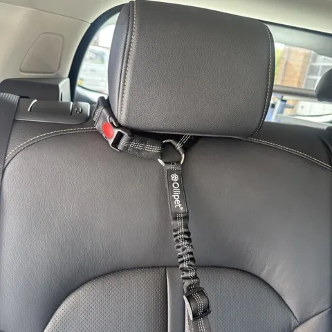 Sikkerhedssele til hunde - Dog Seat Strap UNIVERSAL