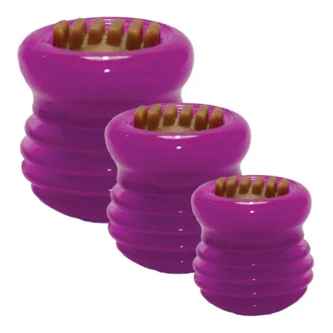 Starmark Everlasting Treat Groovy Ball Lisa