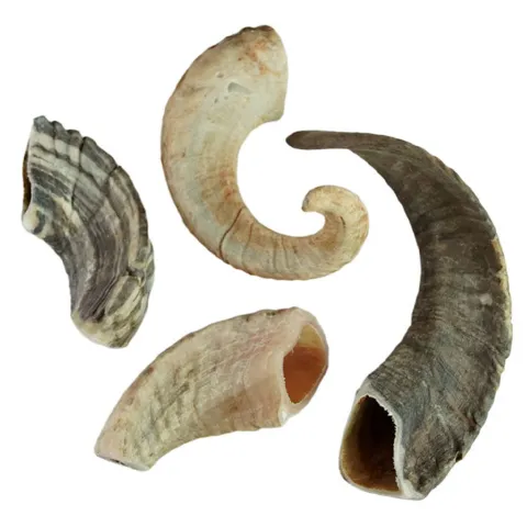 NATURBEN Lammehorn
