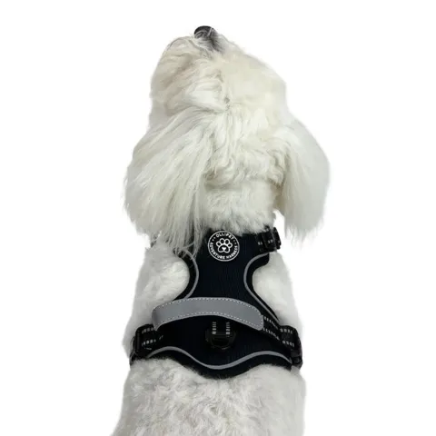 Ollipet Adventure hundesele til coton de tulear