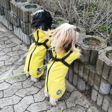 Ollipet Aqua Explorer Regnjakke med gennemgående sele og lårbeskyttelse