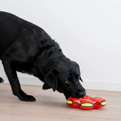 Ollipet Power Frisbee Ball og Oswald