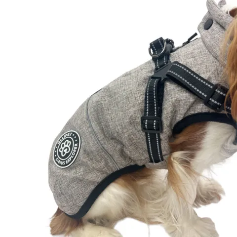 Ollipet Sirius Explorer Vinterdækken til hunde med tapede lynlås