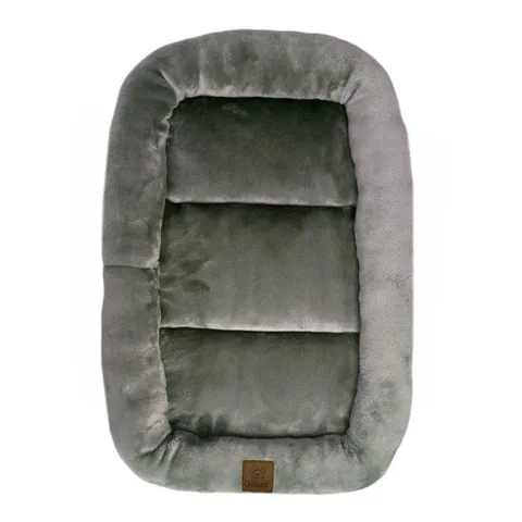 Ollipet Kaya Wellness Madras
