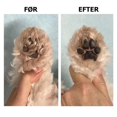 Ollipet Penguin Potetrimmer 3i1