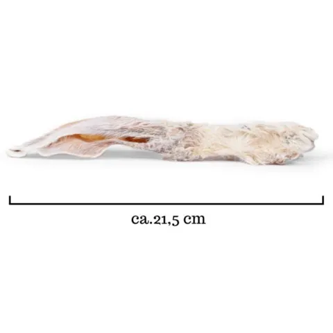 Kaninøre med pels. Naturlig hundesnack med fast struktur og god tyggeoplevelse