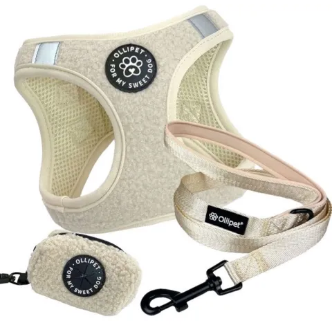 Ollipet Teddy Sæt | Creme