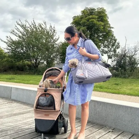 Hundeklapvogn og hundetaske - sikre at du ser stilfuld ud når du går tur med din hund.