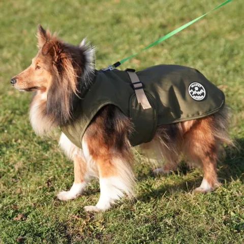 Ollipet Hunting Outdoor Vinterdækken Erik