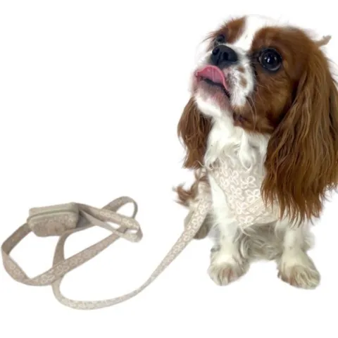Hundebandana til de sødeste hunde