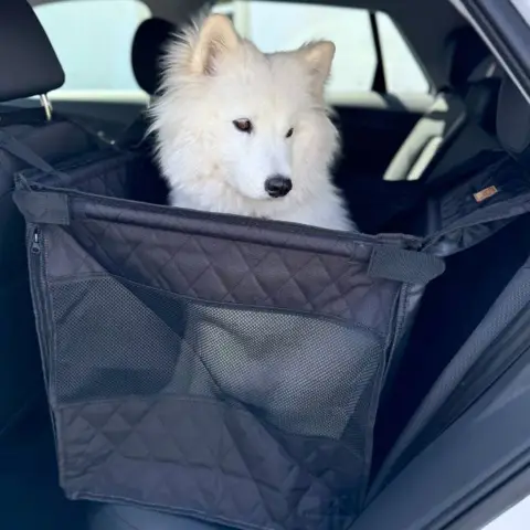 Bilsæde beskytter til store hunde